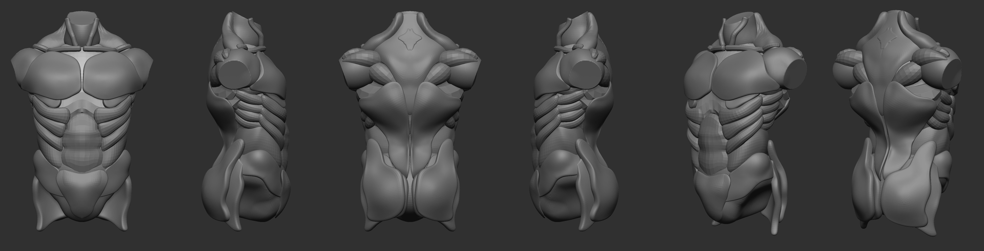 Human Torso Process