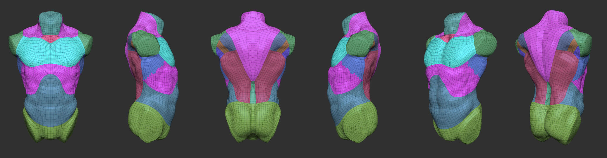 Human Torso - Polygrouped