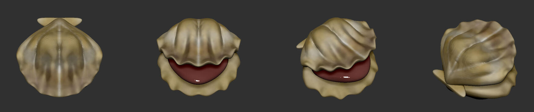 Pix the Scallop Top Down Views